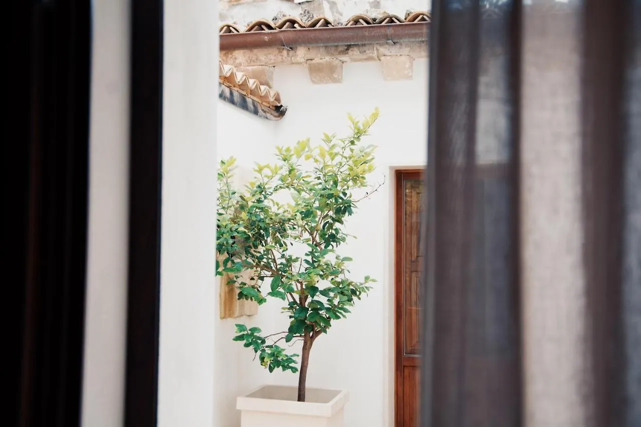 לינה וארוחת בוקר רגוזה Giardino Sul Duomo